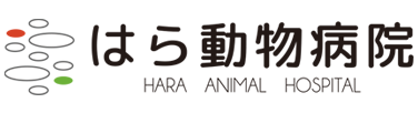 はら動物病院 ｜神奈川県横浜市｜瀬谷区｜犬、猫、うさぎ、ハムスターの診療を行っております。